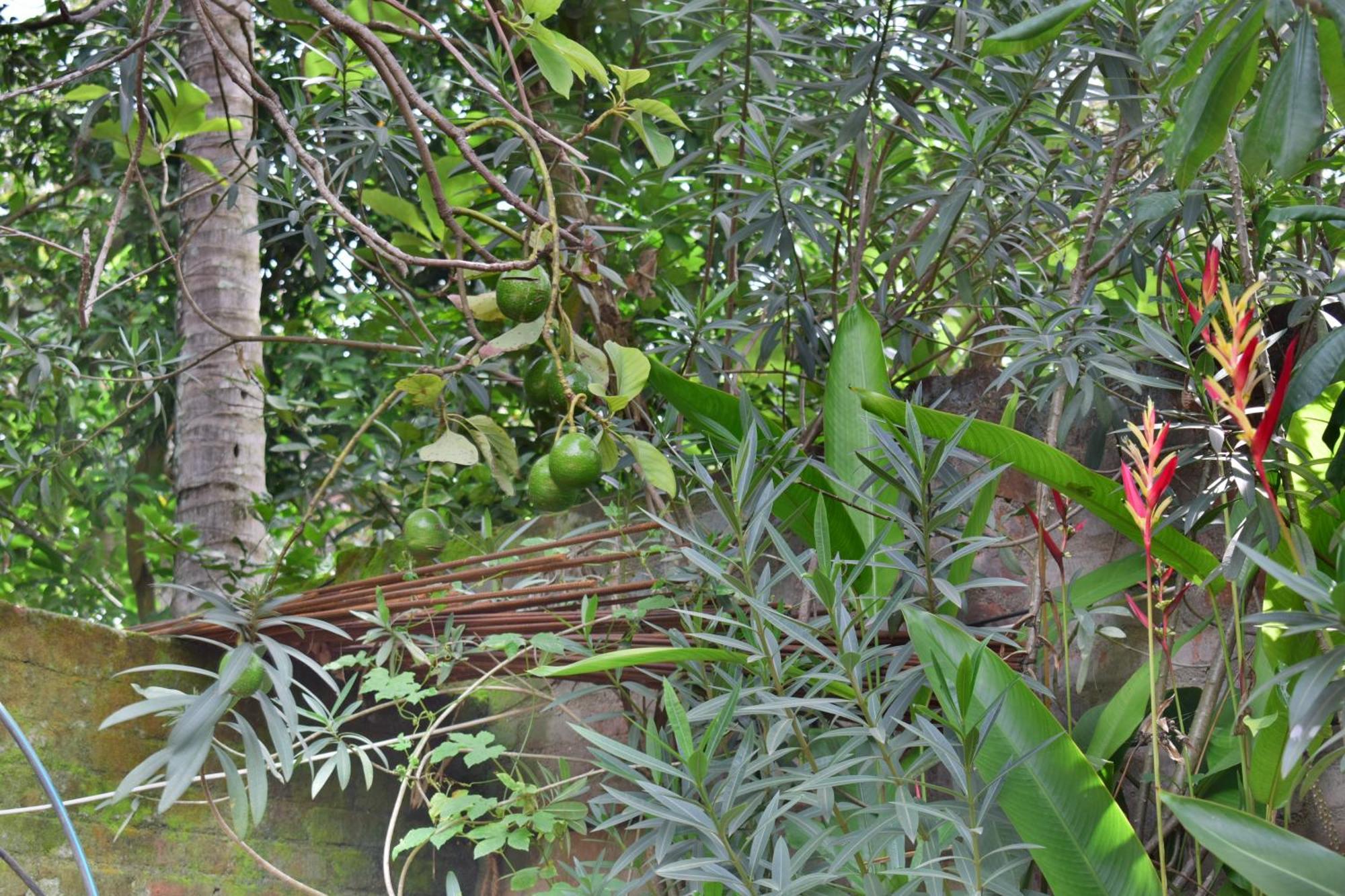 Silent Waters Resorts Yelagiri Esterno foto