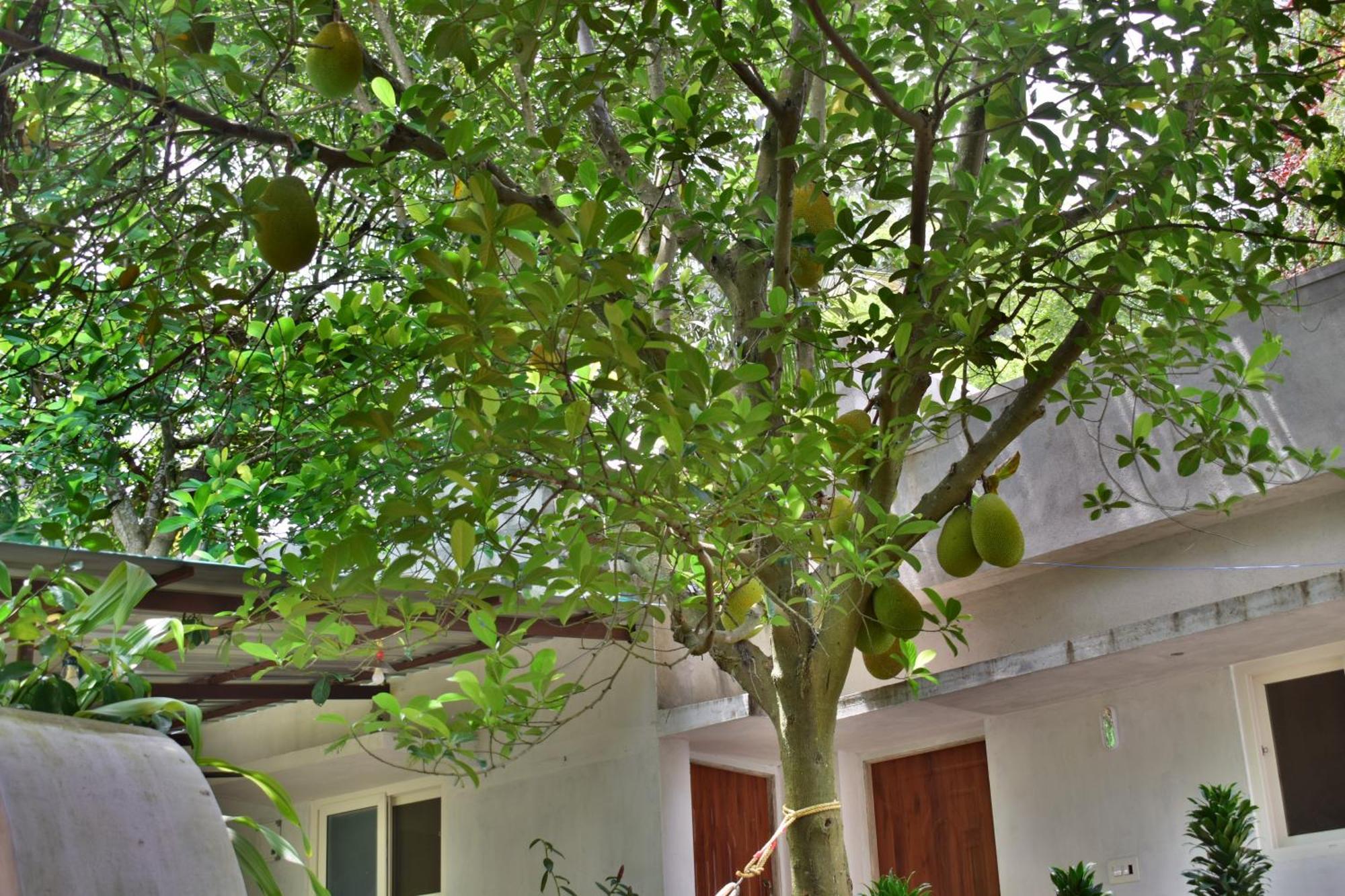 Silent Waters Resorts Yelagiri Esterno foto