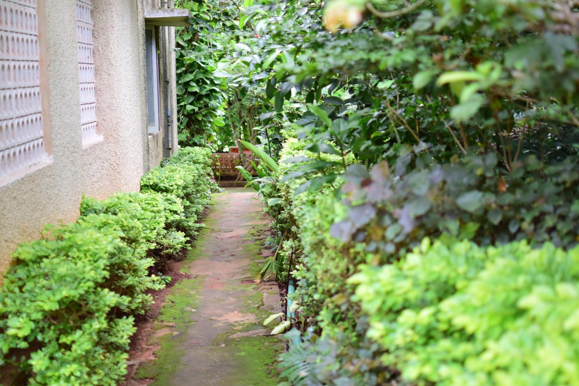 Silent Waters Resorts Yelagiri Esterno foto
