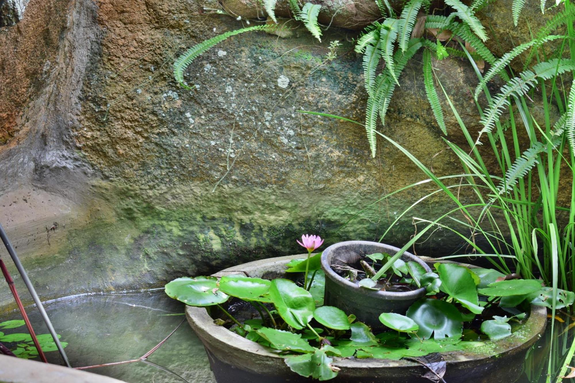 Silent Waters Resorts Yelagiri Esterno foto