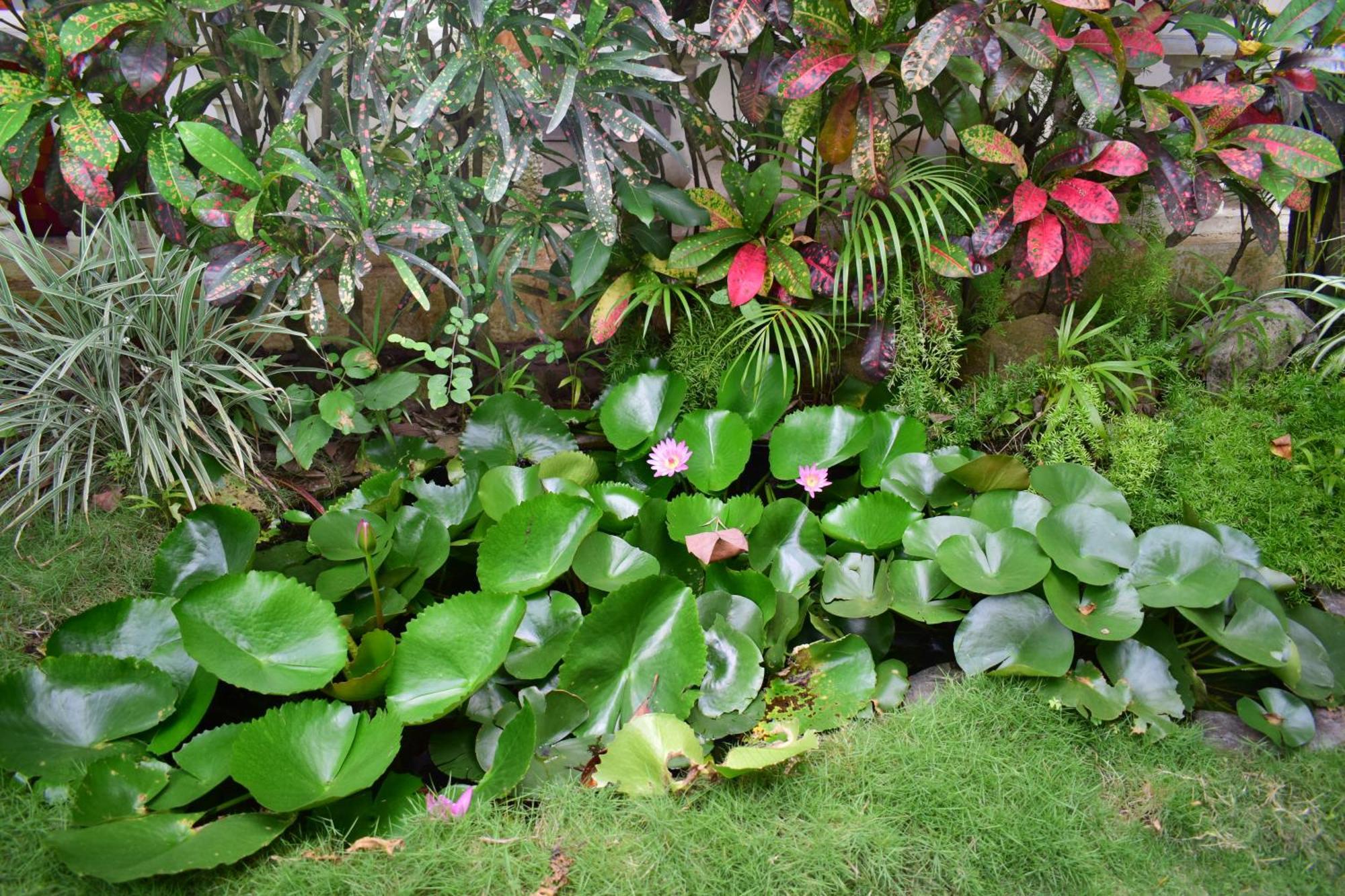 Silent Waters Resorts Yelagiri Esterno foto