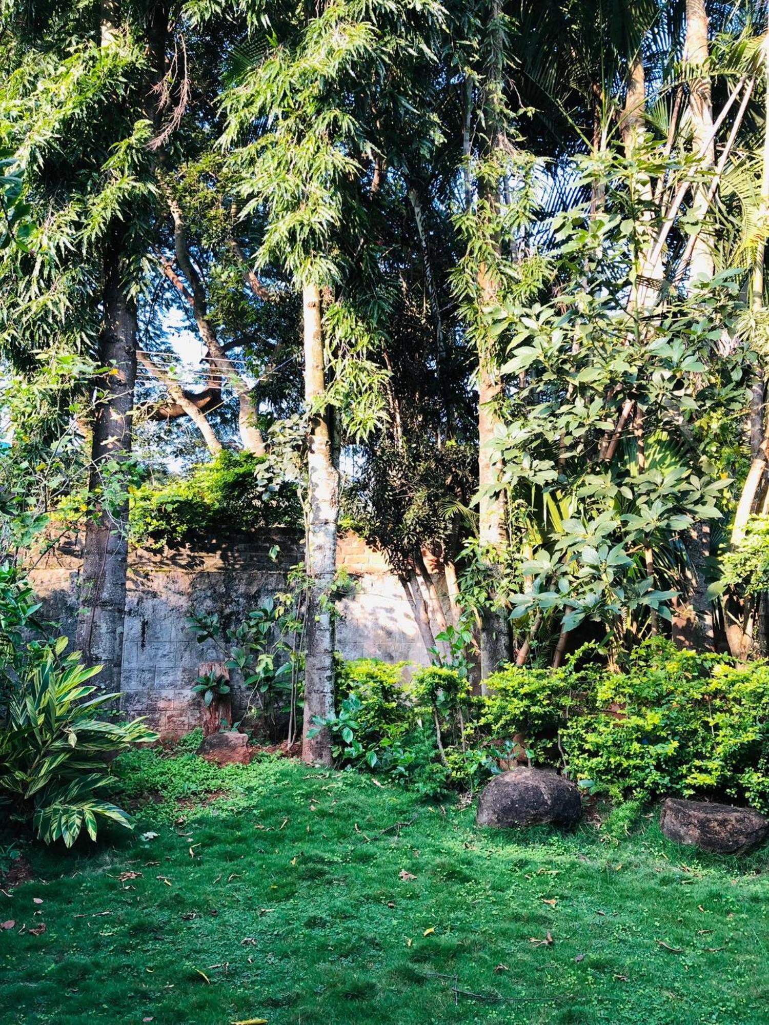 Silent Waters Resorts Yelagiri Esterno foto
